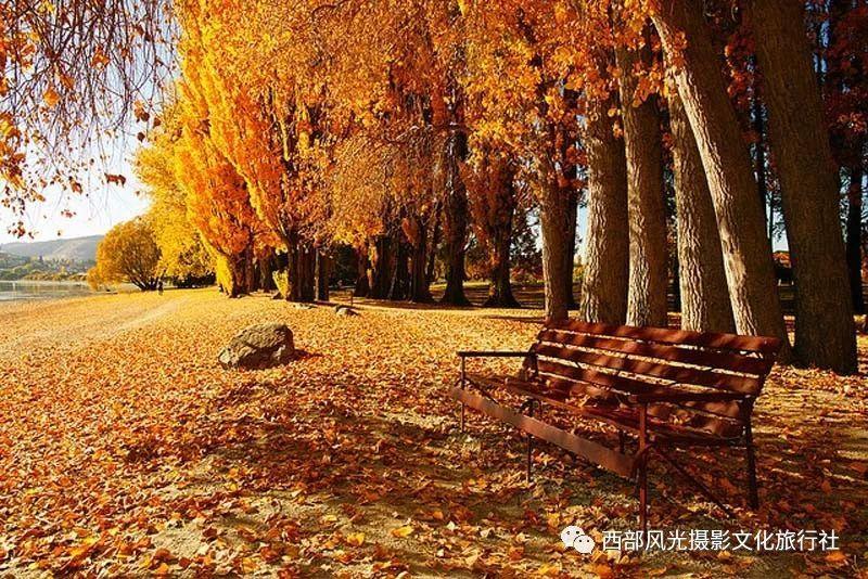 用云渲染好还是本地渲染好?
